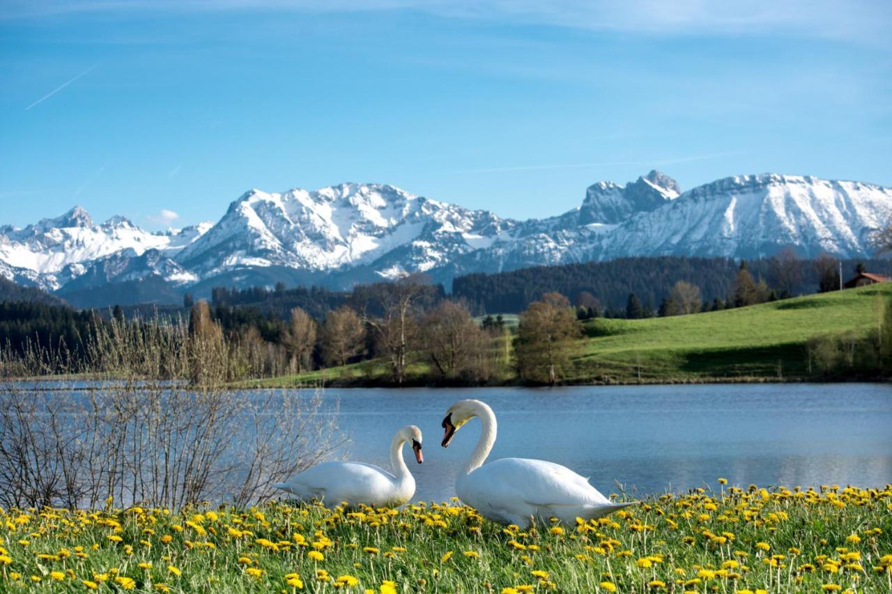 Direkt Am See Mit Bergblick Seeg Exterior foto